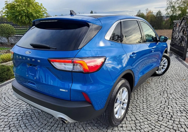 Ford Kuga cena 81900 przebieg: 23000, rok produkcji 2021 z Tarnów małe 352